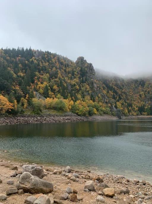 Le Belvedere Du Lac Blanc Orbey Esterno foto